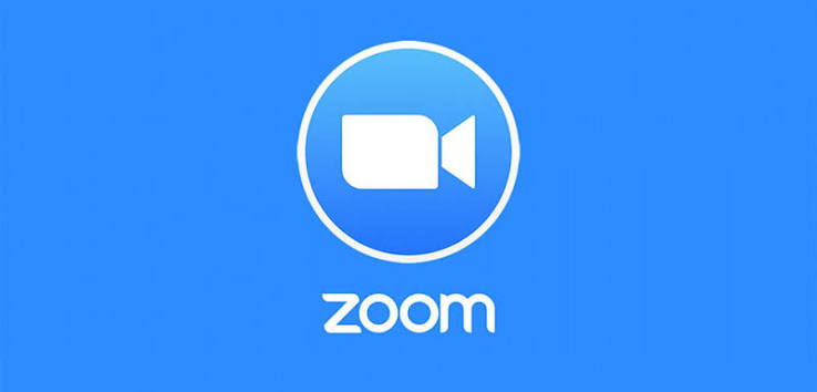Zoom Pro Subscription (1 Month)